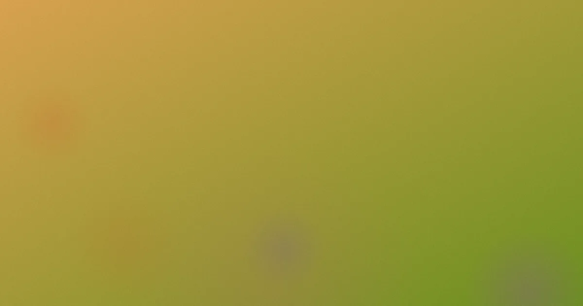 久久悠悠对比：一次周末复盘